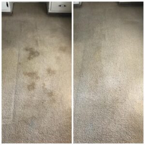 Carpet Cleaner Gilbert