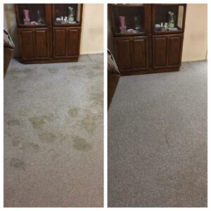 Carpet Cleaning Company Gilbert az