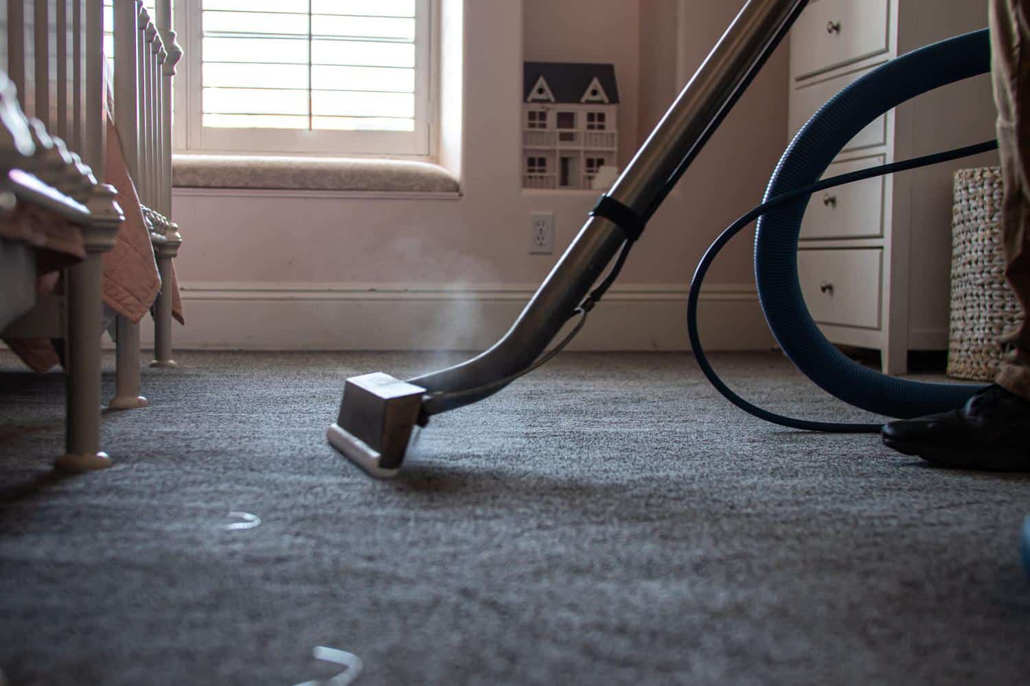 Making Spaces Smell Sweet: Pet Odor Removal Success