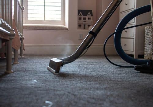 Making Spaces Smell Sweet: Pet Odor Removal Success