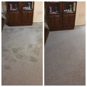 Carpet Cleaning Company Scottsdale